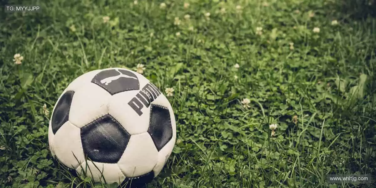 🏅赛事门票 + 独家花絮，你的观赛体验由我定义！🎫